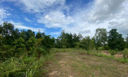 ขายที่ดิน - ขายที่ดิน 24 ไร่ 3 งาน เมืองพล จังหวัดขอนแก่น