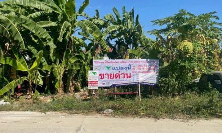 ขายที่ดิน - ขายที่ดินเปล่า 119 ตร.ว. แปลงสี่เหลี่ยมสวย ซอยคลองหลวง33 ต.คลองหนึ่ง อ.คลองหลวง จ.ปทุมธานี