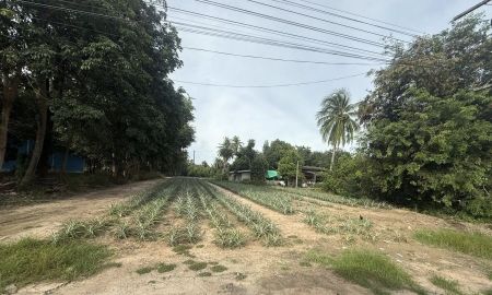 ขายที่ดิน - ขายที่ดินมาบข่า 3 ไร่ ติดถนนลาดยาง ใกล้ถนนกระทิงลาย-ปลวกเกตุุ36-800เมตร อ.นิคมพัฒนา ระยอง