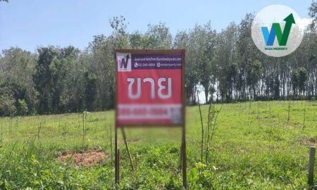 ขายที่ดิน - ขายสวนยางพาราผสมผสานไม้เศรฐกิจแปลงใหญ่ ควนขนุน