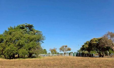 ขายที่ดิน - ขายที่ดินพัทยา โซนบ้านอำเภอ นาจอมเทียน แปลงสวย ทำเลทอง