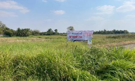 ขายที่ดิน - ที่ดิน 1-3-59.0 ไร่ ต.ขามทะเลสอ อ.ขามทะเลสอ จ.นครราชสีมา