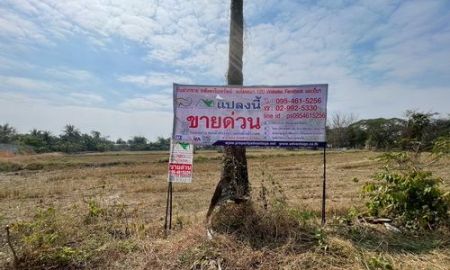 ขายที่ดิน - ที่ดิน 3 งาน 78.0 ตรว. ต.ขามทะเลสอ อ.ขามทะเลสอ จ.นครราชสีมา