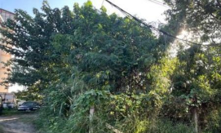 ขายที่ดิน - ที่ดินเปล่าช้างคลาน 112 ตร.ว โซนธุรกิจ หายากมาก ขายราคาต่ำกว่าประเมิน เหมาะทำโรงแรม คอนโด