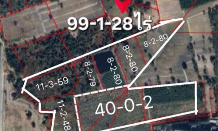 ขายที่ดิน - ที่ดินม่วงเข้ม100ไร่ อยู่ต.หนองกี่ อ.กบินทร์บุรี จ.ปราจีนบุรี