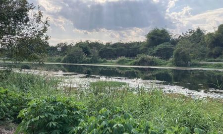 ขายที่ดิน - ขาย ที่ดินริมแม่น้ำจาง เหนือเขื่อนสบทะ แม่ทะลำปาง