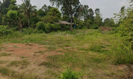 ขายที่ดิน - ขายที่ดินท่าถ่าน 2 ไร่ ติดถนนลาดยาง ใกล้ถนนเส้น319-1.1กม. อ.พนมสารคาม ฉะเชิงเทรา