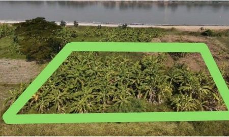 ขายที่ดิน - ขายที่ดินติดแม่น้ำโขงหน้ากว้างสวย ในเมืองหนองคาย