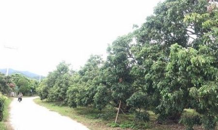ขายที่ดิน - ขายที่ดินสวนลำไย 9ไร่ มีโฉนด 5ไร่ 2.5ลบ. ถนนคอนกรีต น้ำไฟพร้อม บ้านห้วยกาน ต.บ้านโฮ่ง อ.บ้านโฮ่ง ลำพูน