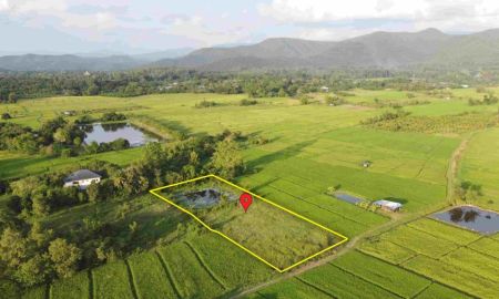 ขายที่ดิน - ที่นาพร้อมสระน้ำ 2-1-34 ไร่ วิวดอย ติดถนนสาธารณะ ขยายน้ำ-ไฟไม่ไกล