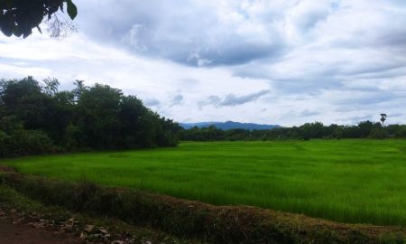 ขายที่ดิน - ที่นา 8 ไร่ ใกล้ชุมชน โรงเรียน วัด บ้าน เหมาะการเกษตร บ้านพักผ่อน