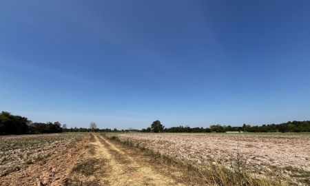 ขายที่ดิน - ขายที่ดินสำหรับทำการเกษตร ในเขตอำเภอเมือง ขอนแก่น