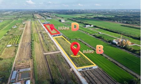 ขายที่ดิน - ที่ดินสวน ทำเลทอง บรรกาศดี ใกล้แหล่งชุมชน