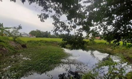 ขายที่ดิน - ขายที่ดิน ดอยสะเก็ด บรรยากาศดี ติดถนนคอนกรีต ใกล้ถนนสายใหม่ เนื้อที่ 2 ไร่ 139 ตร.วา อ.ดอยสะเก็ด จ.เชียงใหม่