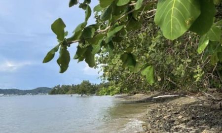 ขายที่ดิน - ขายที่ดินทำเลดี ติดหาด370 เมตร เกาะโหบน จังหวัดภูเก็ต