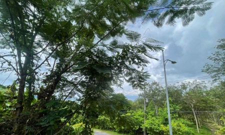 ขายที่ดิน - ขายที่ดิน วิวดี ทำเลทอง เขาขาด จังหวัดภูเก็ต