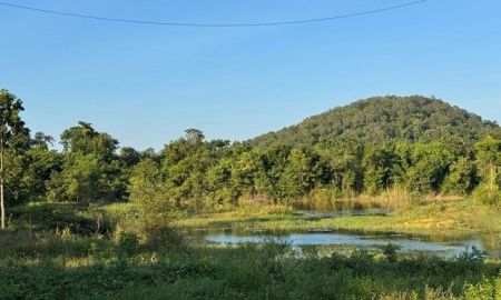 ขายที่ดิน - ที่ดิน ติดภูเขา โพธาราม จังหวัด ราชบุรี ทิศใต้ : หน้าหัน 180