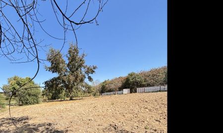 ขายที่ดิน - ขายที่ดินแปลงสวย ทำเลทอง อำเภอพนัสนิคม จังหวัดชลบุรี