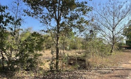 ขายที่ดิน - ขายด่วนที่ดินเปล่า เนื้อที่ 12 ไร่ 2 งาน 79 ตร.ว.ต.วัดธาตุ อ.เมืองหนองคาย จ.หนองคาย