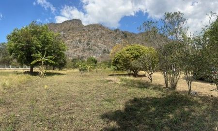 ขายที่ดิน - ขายที่ดินแปลงสวยอยู่เขาใหญ่สวยสุดๆติดถนนใหญ่หน้ากว้าง200เมตรด้านหลังติดภูเขา