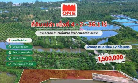 ขายที่ดิน - ที่ดินเปล่า เนื้อที่ 4-2-36.1 ไร่ ใกล้ทะเล อ.ท่าศาลา