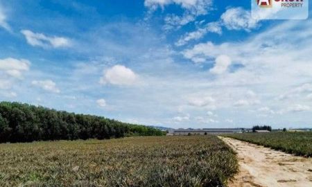 ขายที่ดิน - ขายที่ดิน ขนาดพื้นที่ 29-3-96 ไร่ ผังสีม่วง ปลวกแดง ระยอง