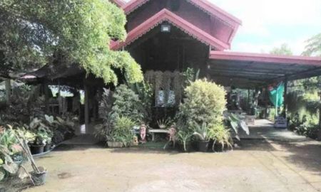 ขายที่ดิน - ขายที่ดินทำเลดี 2 ไร่ 3 งาน เจ้าของขายเอง คลอง13 หนองจอก ฝั่งตะวันออก กทม