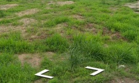 ขายที่ดิน - ขายที่ดินหนองขาม ศรีราชา แปลงสวย ราคาดี ในนิคมปิ่นทอง