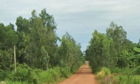 ขายที่ดิน - ที่ดินพร้อมสวนยางพารา มีโฉนด บ้านกรวด บุรีรัมย์