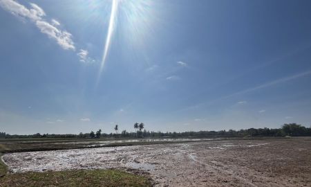 ขายที่ดิน - ขายที่นา 9 ไร่ ห่างตัวเมืองขอนแก่นประมาณ 20 กิโลเมตร