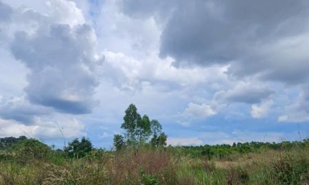 ขายที่ดิน - ขายที่ดินแปลงสวย ทำเลทอง ใกล้แหล่งชุมชน เขาหินซ้อน ปราจีนบุรี