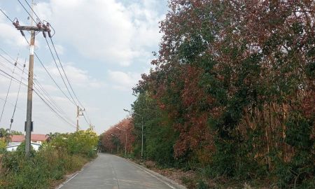 ขายที่ดิน - ขายที่ดินนิคมพัฒนา ระยอง 89ไร่ 82.7ตรว. สีส้ม ใกล้นิคมอุตสาหกรรม เหมาะสำหรับทำ โรงงาน โกดัง คลังสินค้า บ้านจัดสรร