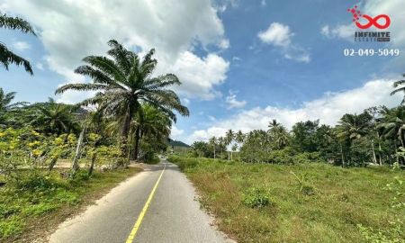 ขายที่ดิน - ขายที่ดินเปล่า แปลงสวย 5 ไร่ 21 ตรว.อ่าวนาง อ.เมืองกระบี่ ถนนหนองทะเล