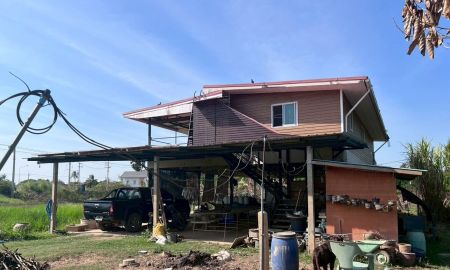 ขายบ้าน - ขายบ้านสวน 2 ชั้น พร้อมที่ดิน 4 ไร่ 3 งาน 5 ตรว. อ.พรหมบุรี จ.สิงห์บุรี ติดถนนทางหลวงหมายเลข 309