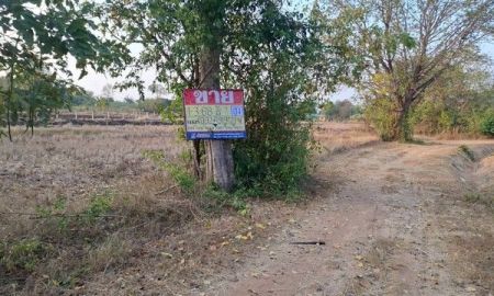 ขายที่ดิน - ขายที่ดิน 1-3-68 ไร่ หนองบัว โกสุมพิสัย มหาสารคราม