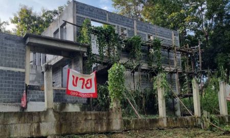 ขายที่ดิน - ที่ดินแม่ริม เชียงใหม่ ใกล้แหล่งท่องเที่ยว