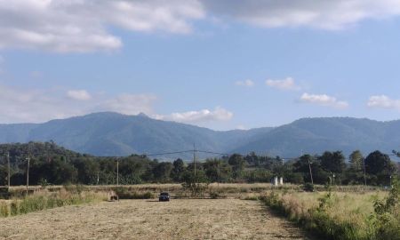 ขายที่ดิน - ขายที่ดินเขาใหญ่ หมูสี ที่ติดเขา วิวอุทยานแห่งชาติเขาใหญ่ชัดสวยมาก ท่าช้าง ใกล้ถนนธนะรัชต์ ใกล้3052 เดินทางสะดวก ติดลาดยาง ใกล้ร้านค้าตลาด ที่สวยมาก