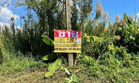 ขายที่ดิน - ขายที่ดินถมแล้ว 228 ตร.วา. วังน้อย อยุธยา ทำเลดีใกล้ถนนพหลโยธินขาเข้ากรุงเทพ ZE604