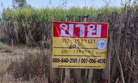 ขายที่ดิน - ขายที่ดินไร่อ้อย 60 ไร่ ดงมะไฟ เมืองสกล เหมาะทำเกษตรกรรม ZE603