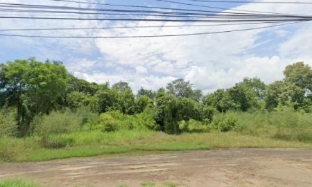 ขายที่ดิน - ขายที่ดิน 10 ไร่ 1 งาน 8.3 ตารางวา ตำบลลำนารายณ์ อำเภอชัยบาดาล จังหวัดลพบุรี