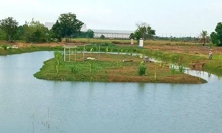 ขายที่ดิน - ขายที่ดินติดริมแม่น้ำบางปะกง แปดริ้ว ฉะเชิงเทรา ที่ถมแล้ว 6 ไร่ เหมาะทำ Resort ที่พัก หรือบ้านในวัยเกษียน ล้อมรอบด้วยธรรมชาติ