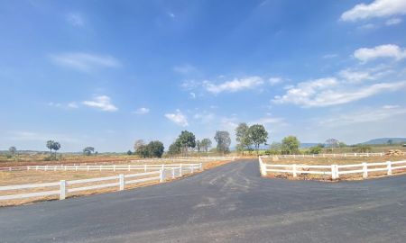 ขายที่ดิน - ขายที่ดินเขาใหญ่ 200 ตรว.โครงการคลองม่วงฮิลล์ วิวเขาล้อมรอบ