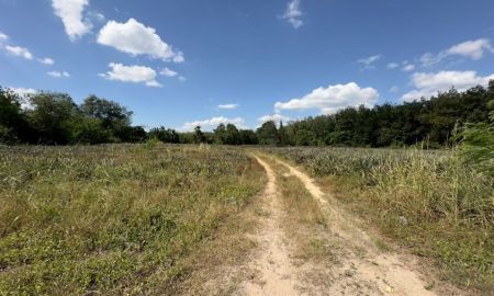 ขายที่ดิน - ที่ดิน ปากเเพรก จังหวัดระยอง เนื้อที่ 8 ไร่ 24 ตารางวา