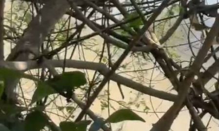 ขายที่ดิน - ที่ดินแปลงใหญ่ ติดถนนหลวง 118 เชียงใหม่ เชียงราย (แม่ขะจาน) 32 ไร่ 1 งาน 92 ตร.วา