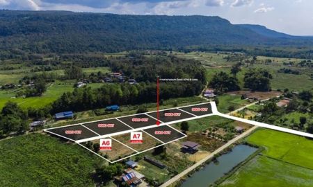 ขายที่ดิน - ที่ดินสวย วิวเขาวังทอง 200 ตร.วา ราคาดีที่สุด 299,000 บาท