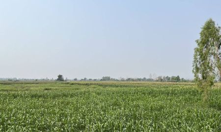 ขายที่ดิน - ที่ดินผืนใหญ่ 675 ไร่ ติดถนนใหญ่ อ.เชียงคำ จ.พะเยา