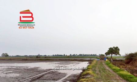 ขายที่ดิน - ที่ดินเปล่า เนื้อที่ 25-1-56 ไร่ เทศบาลไผ่กองดิน ถนนสุพรรณบุรี-ชัยนาท (340) ตำบลทองขาหย่าง อำเภอบางปลาม้า จังหวัดสุพรรณบุรี