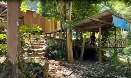 ขายที่ดิน - ขายที่ดินพร้อมบ้านไม้ ท่ามกลางธรรมชาติ รอยต่อ 3 จังหวัด (ลำปาง เชียงราย พะเยา)