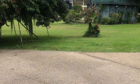 ขายที่ดิน - ขายที่ดินแปลงใหญ่ ใกล้แม่ขะจาน ธรรมชาติอุดมสมบูรณ์ เหมาะทำสำนักปฏิบัติธรรม / Retreat