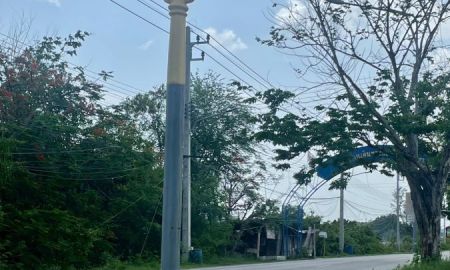 ขายที่ดิน - ขายที่ดิน 254 ตร.ว. ติดถนนใหญ่ ใกล้ดอนหอยหลอด ตลาดแม่กลอง